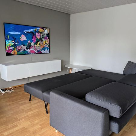 Storchennest - Schoenes, Ruhiges Apartment Mit Sonnenterrasse Tettnang Exteriér fotografie
